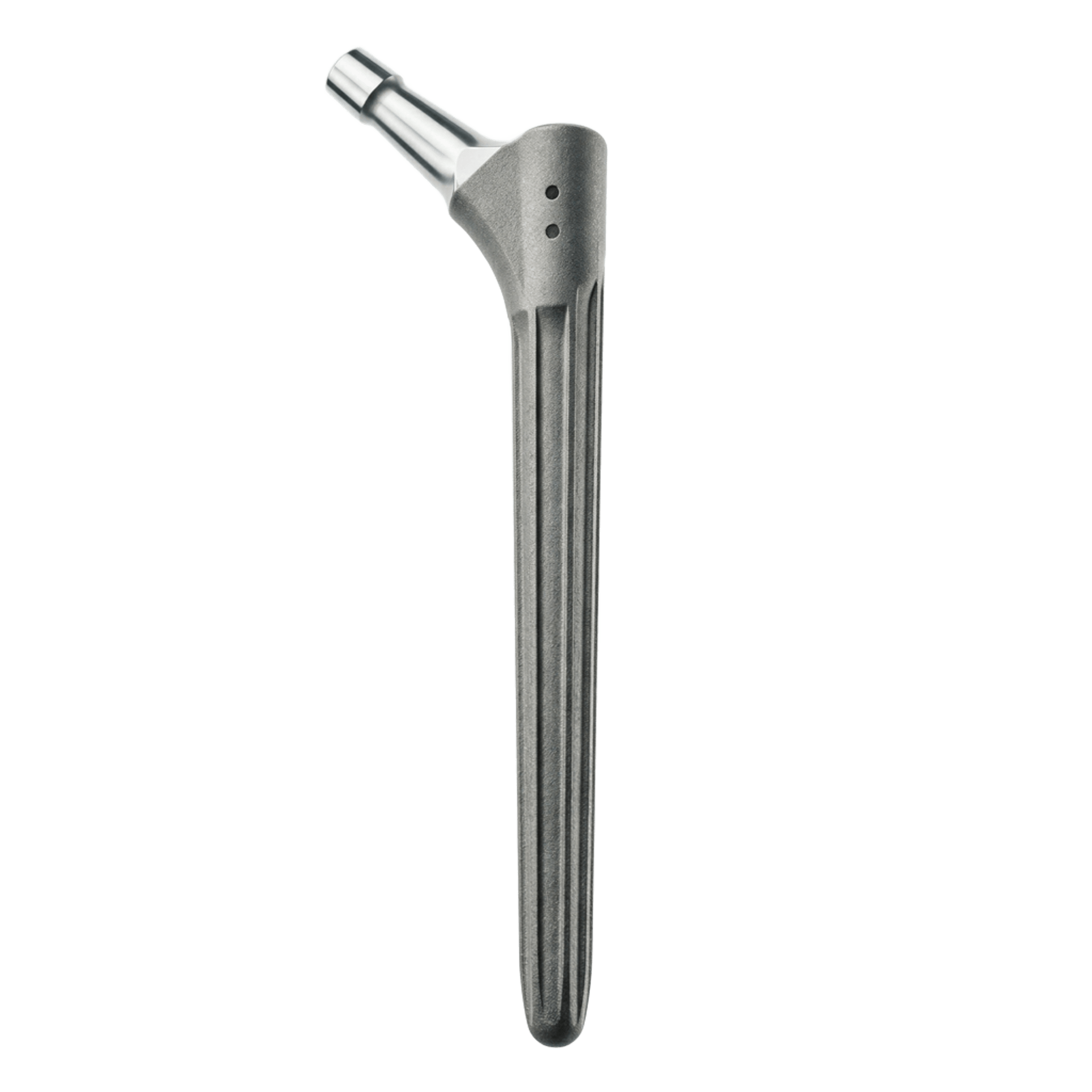 Cementless Femoral Stem