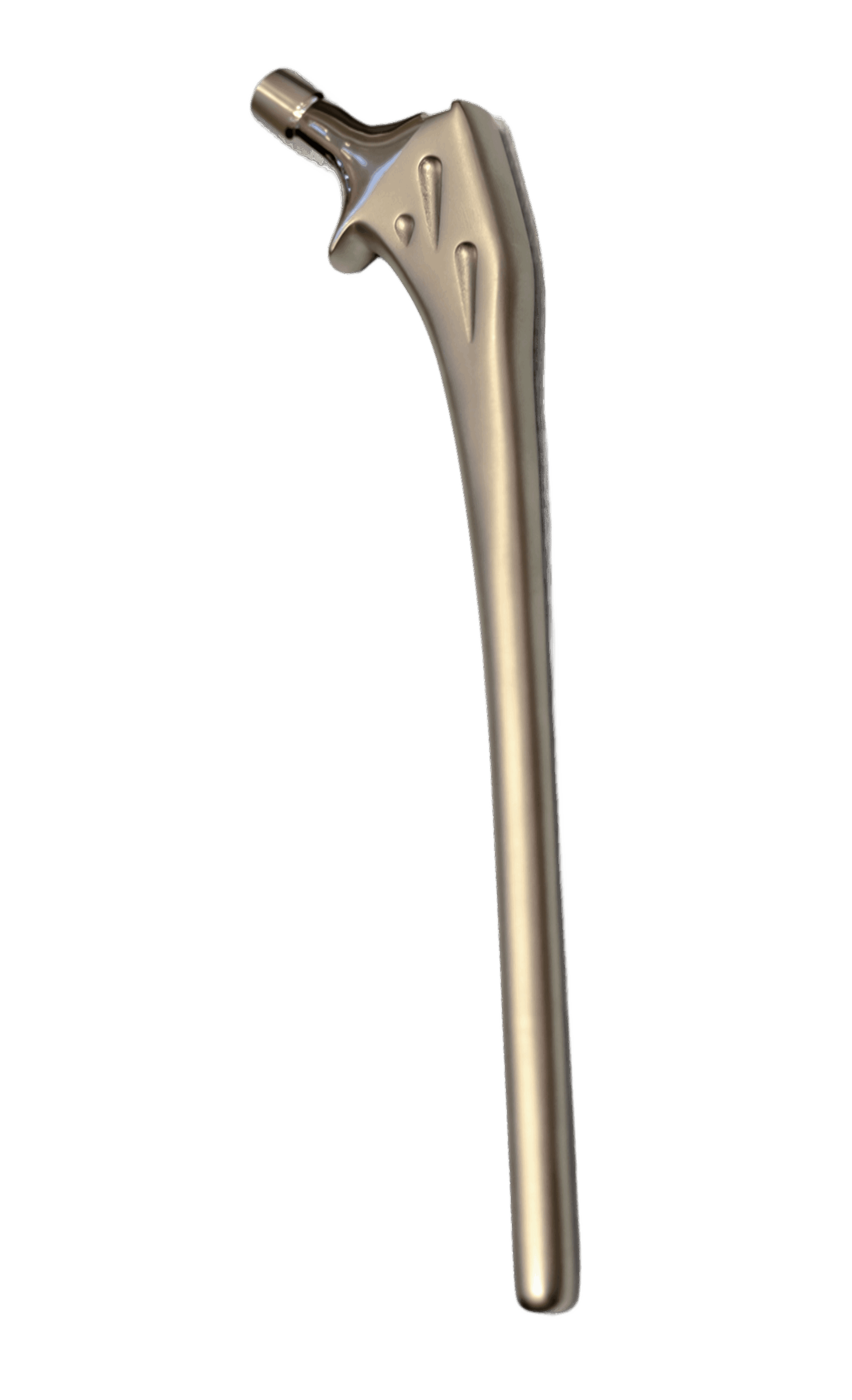Femoral Long Stem cemented - Image 2