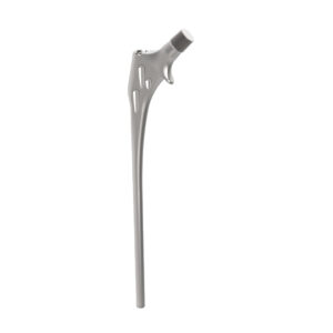 Femoral Long Stem cemented