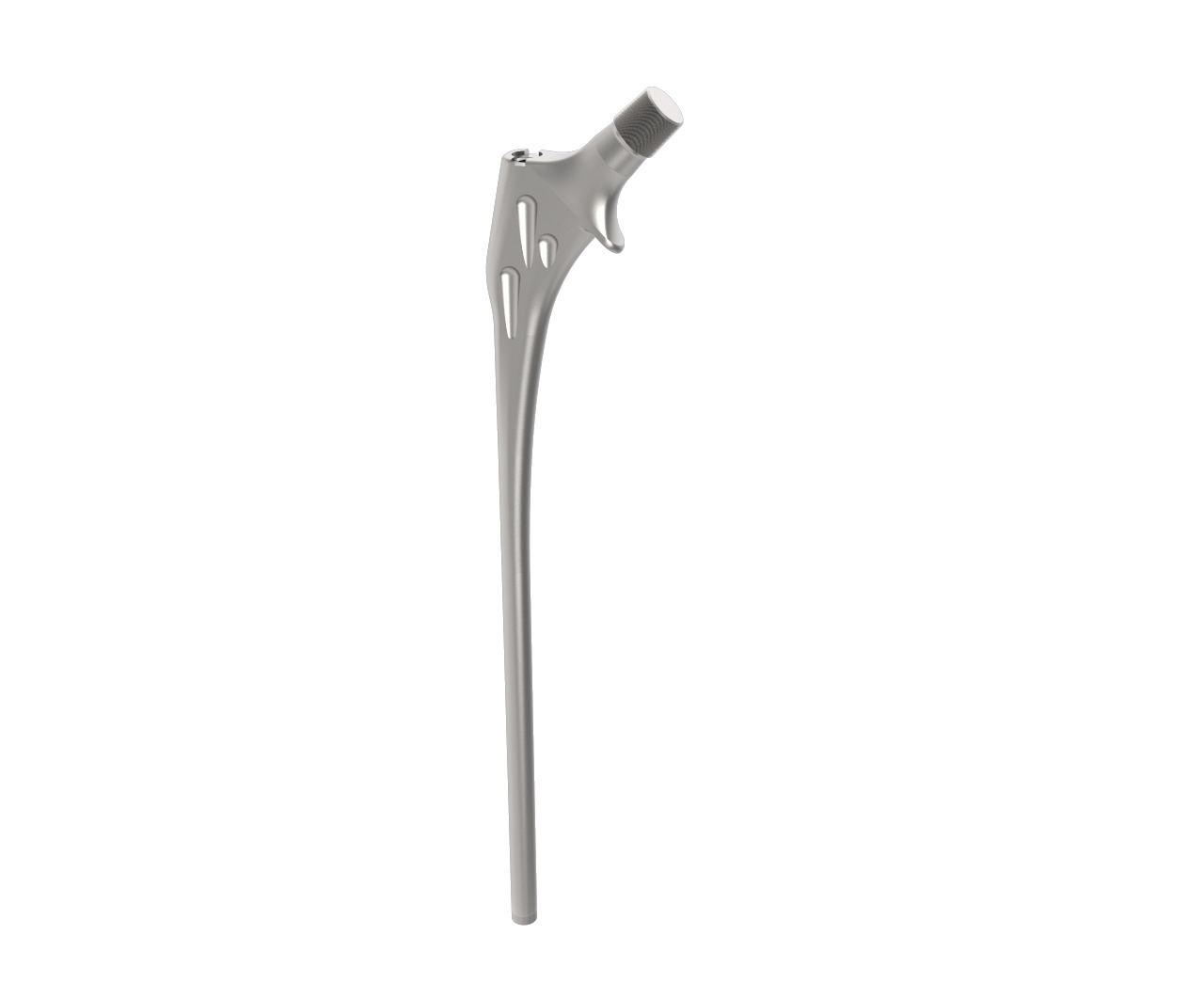 Femoral Long Stem cemented