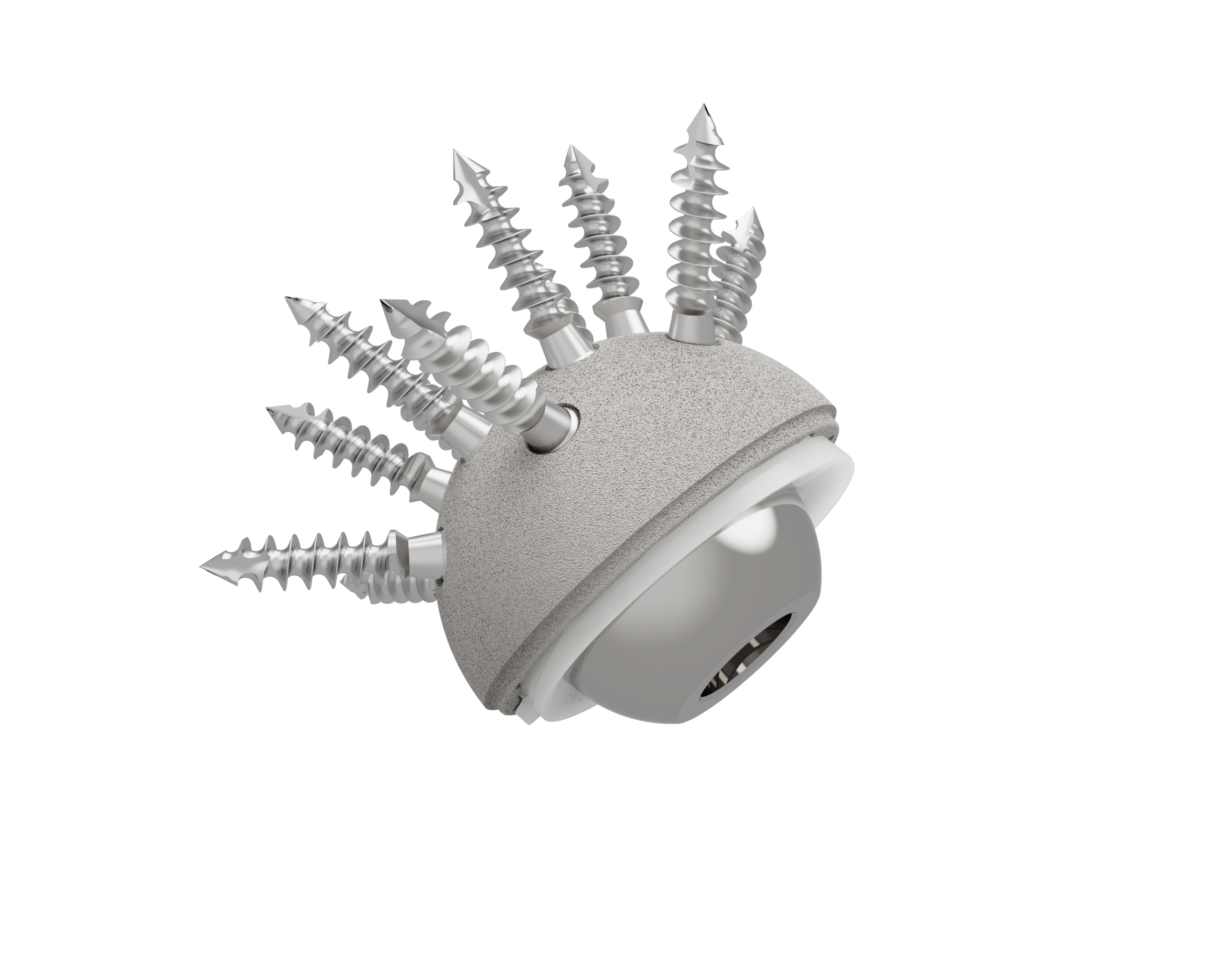 Simple mobility Cup (Cementless) - Image 7