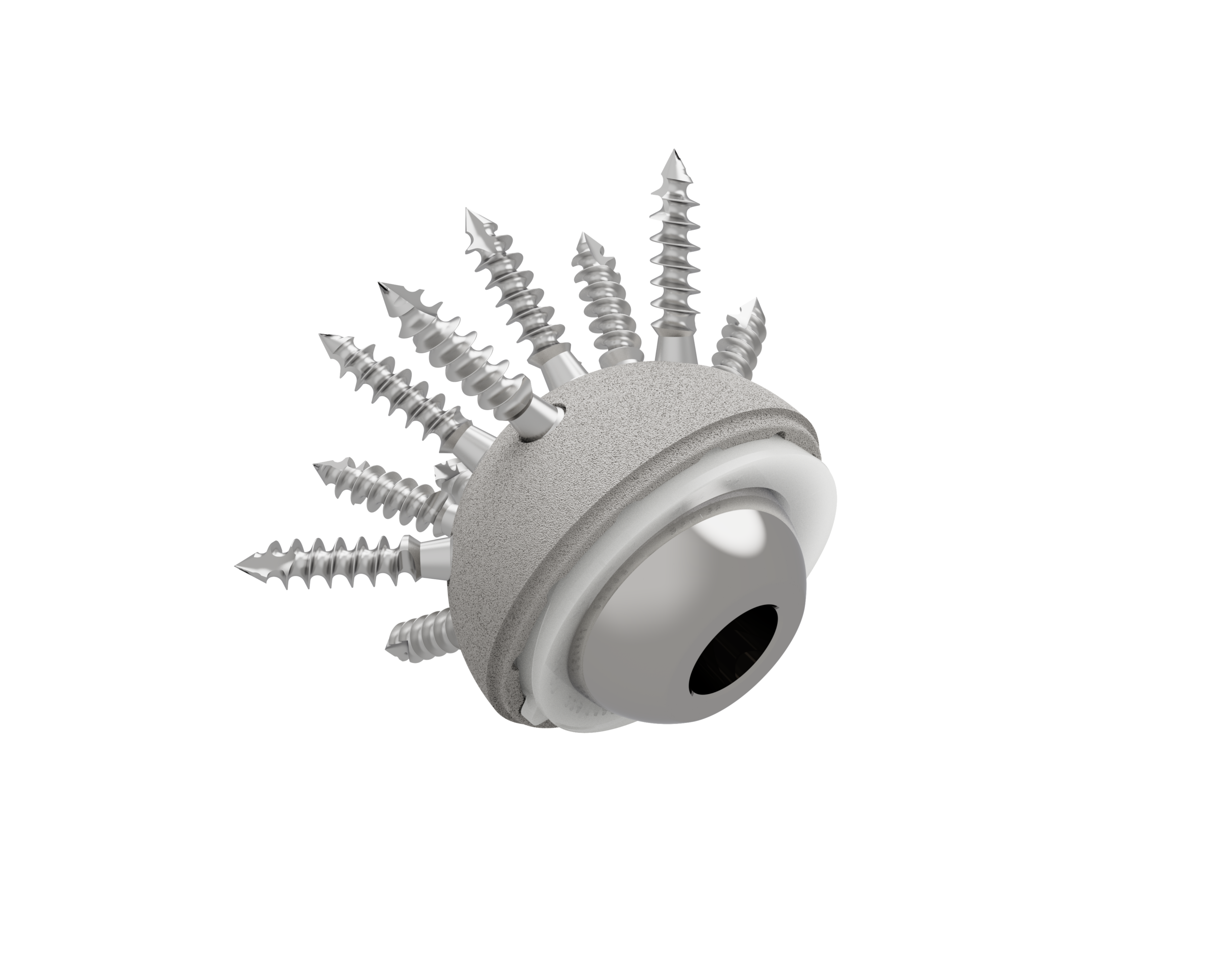 Simple mobility Cup (Cementless) - Image 8