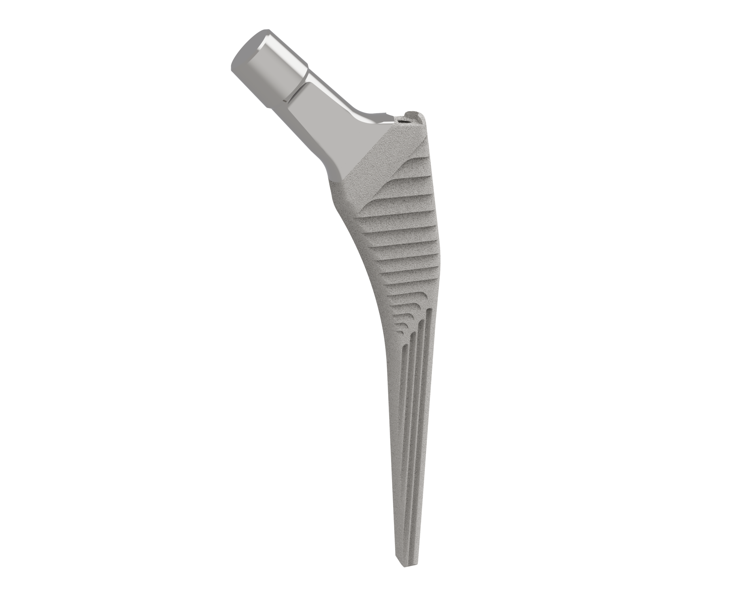 Femoral Stem Cementless - Image 2