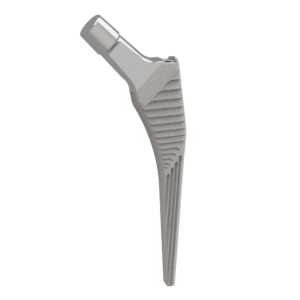 Femoral Stem Cementless