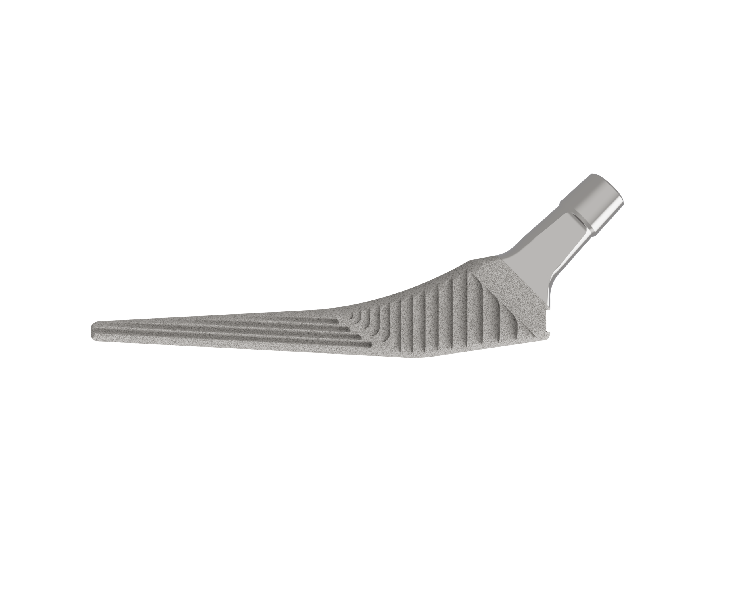 Femoral Stem Cementless - Image 3