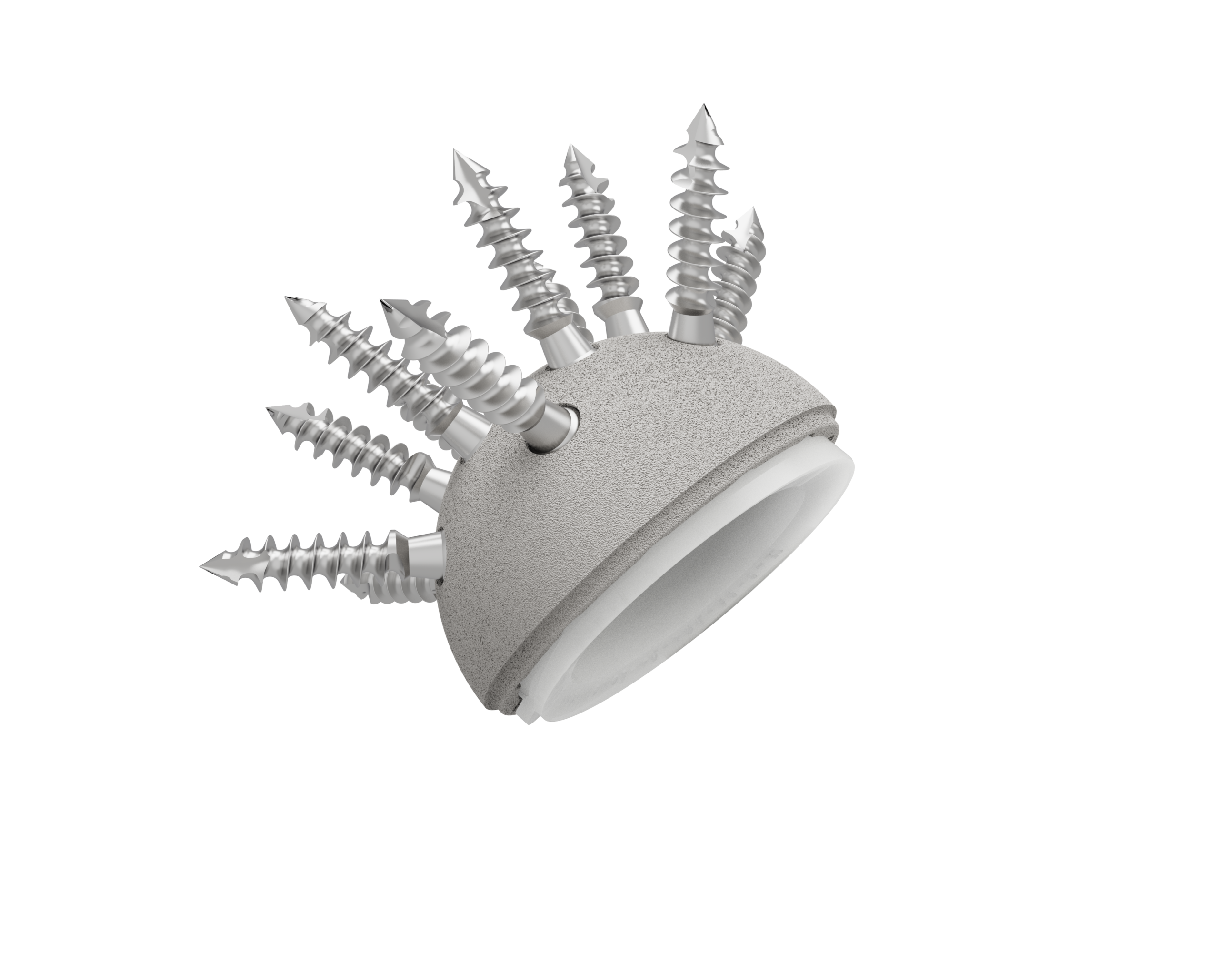 Simple mobility Cup (Cementless) - Image 9
