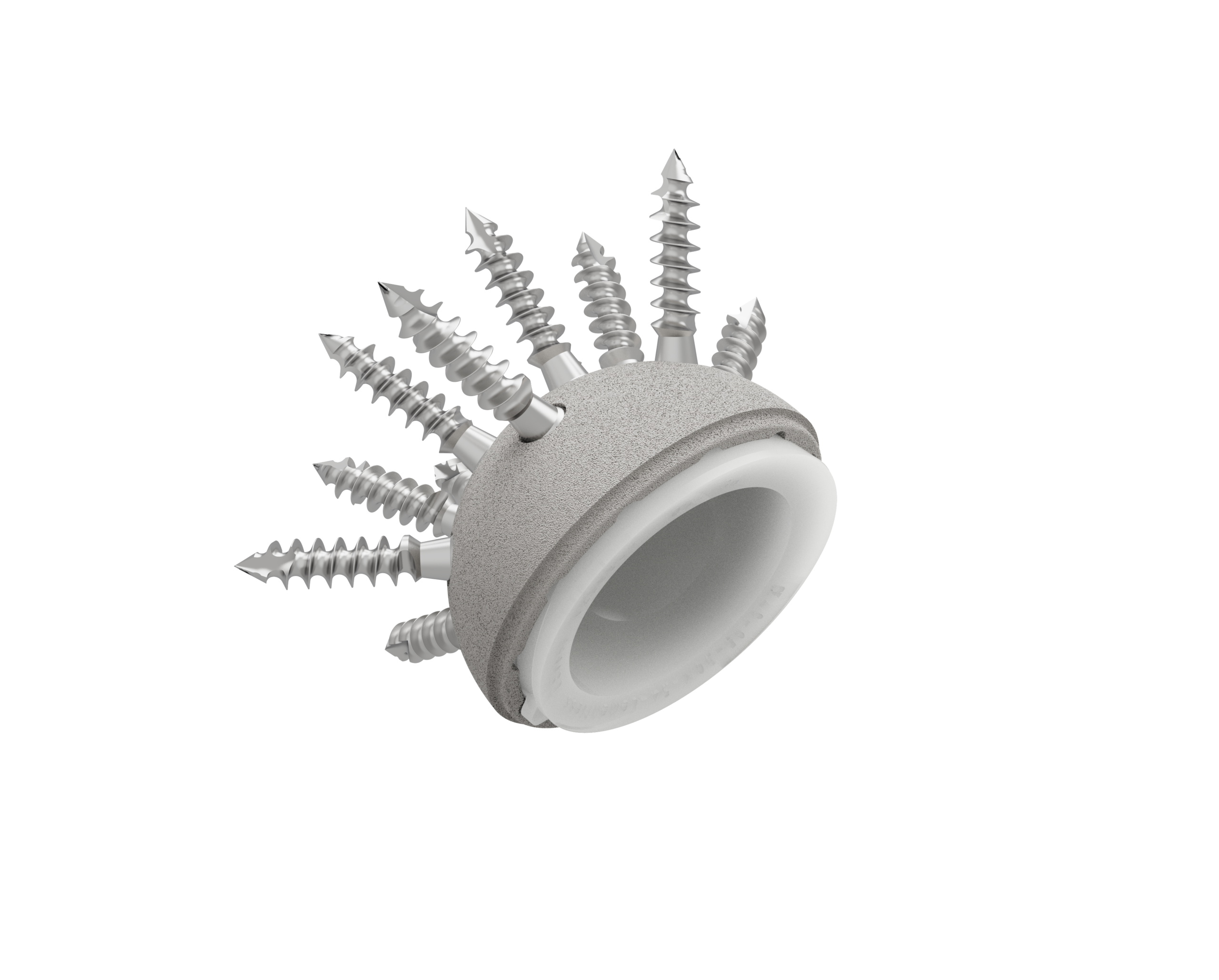 Simple mobility Cup (Cementless) - Image 2