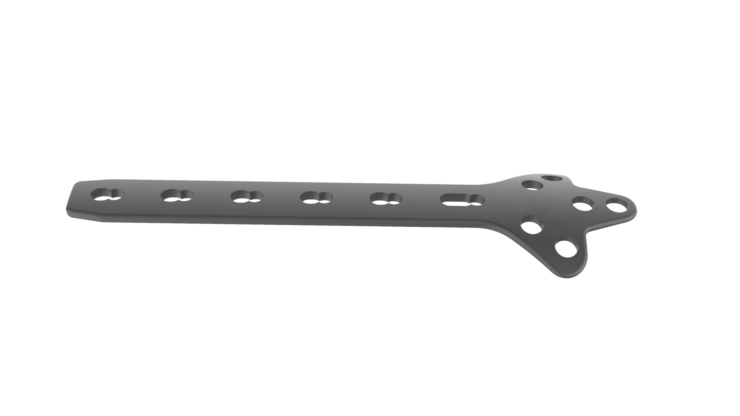 Cloverleaf Plate Titanium - Image 2