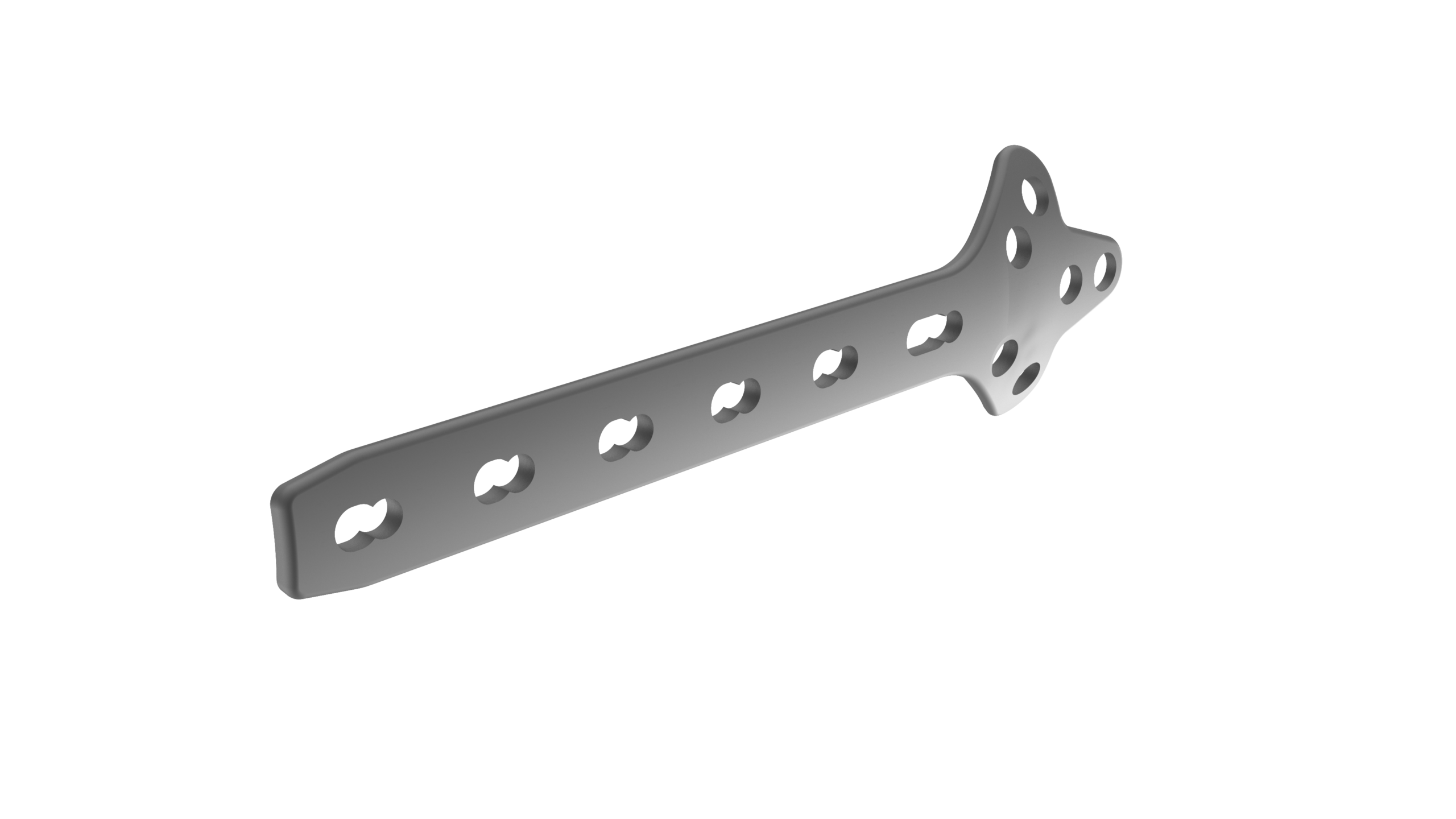 Cloverleaf Plate Titanium - Image 7