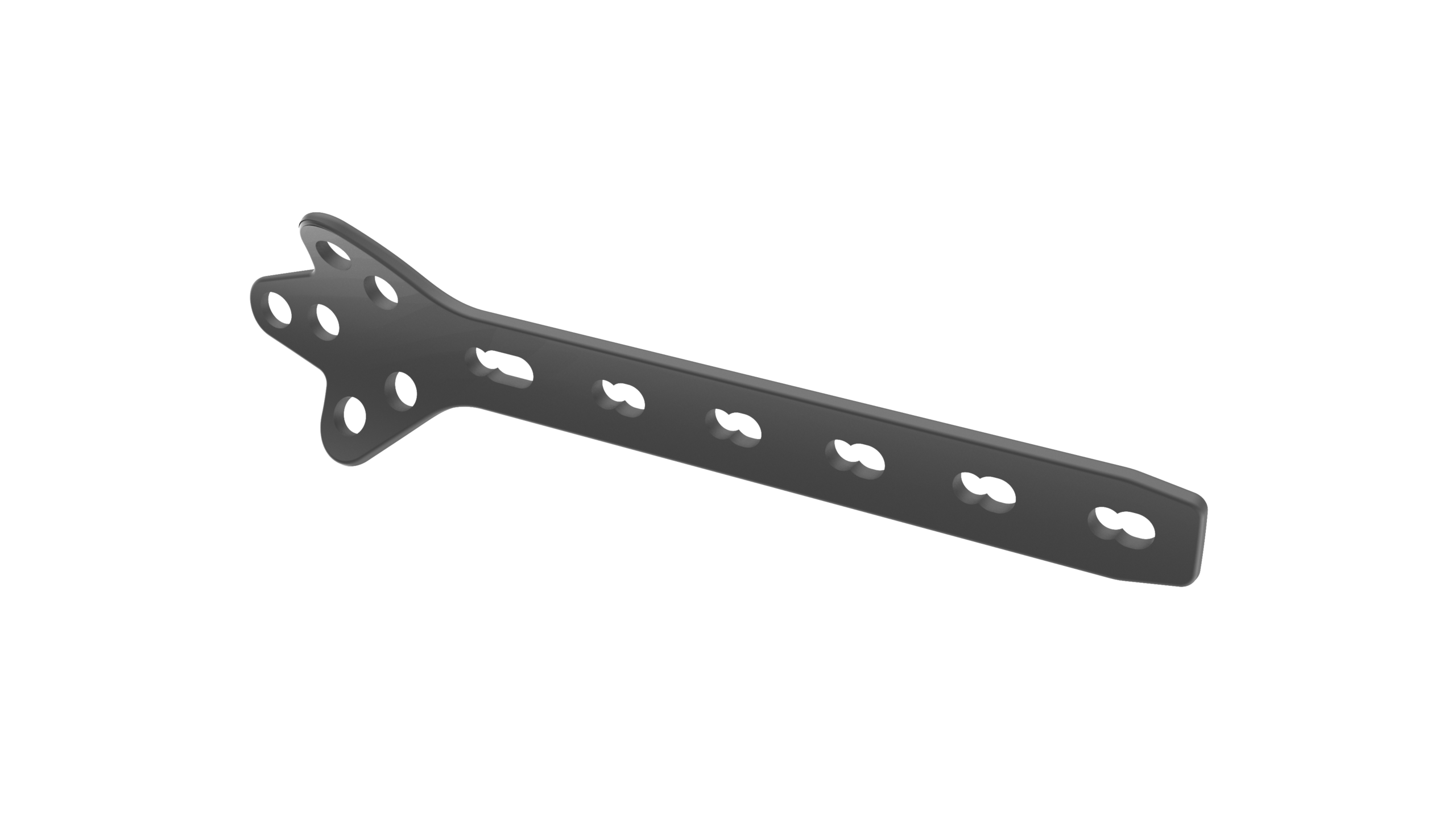 Cloverleaf Plate Titanium - Image 8