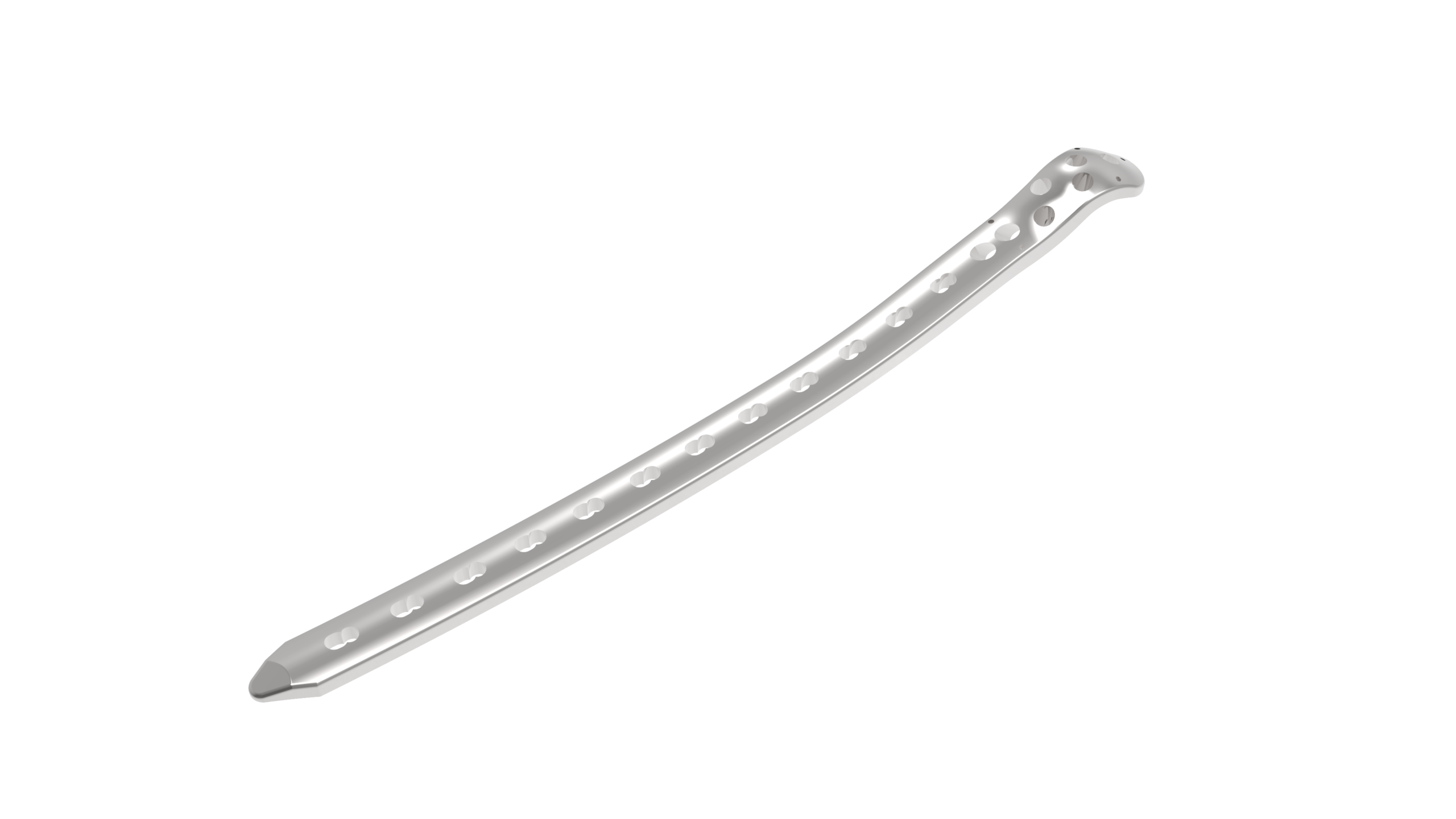 Proximal femur Stainless Steel - Image 2