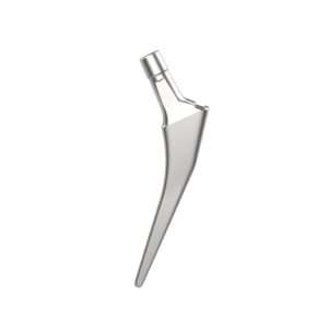 Femoral Stem Cemented