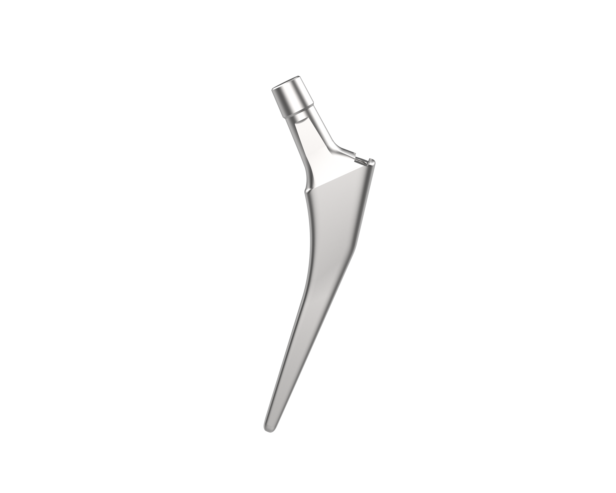 Femoral Stem Cemented - Image 3