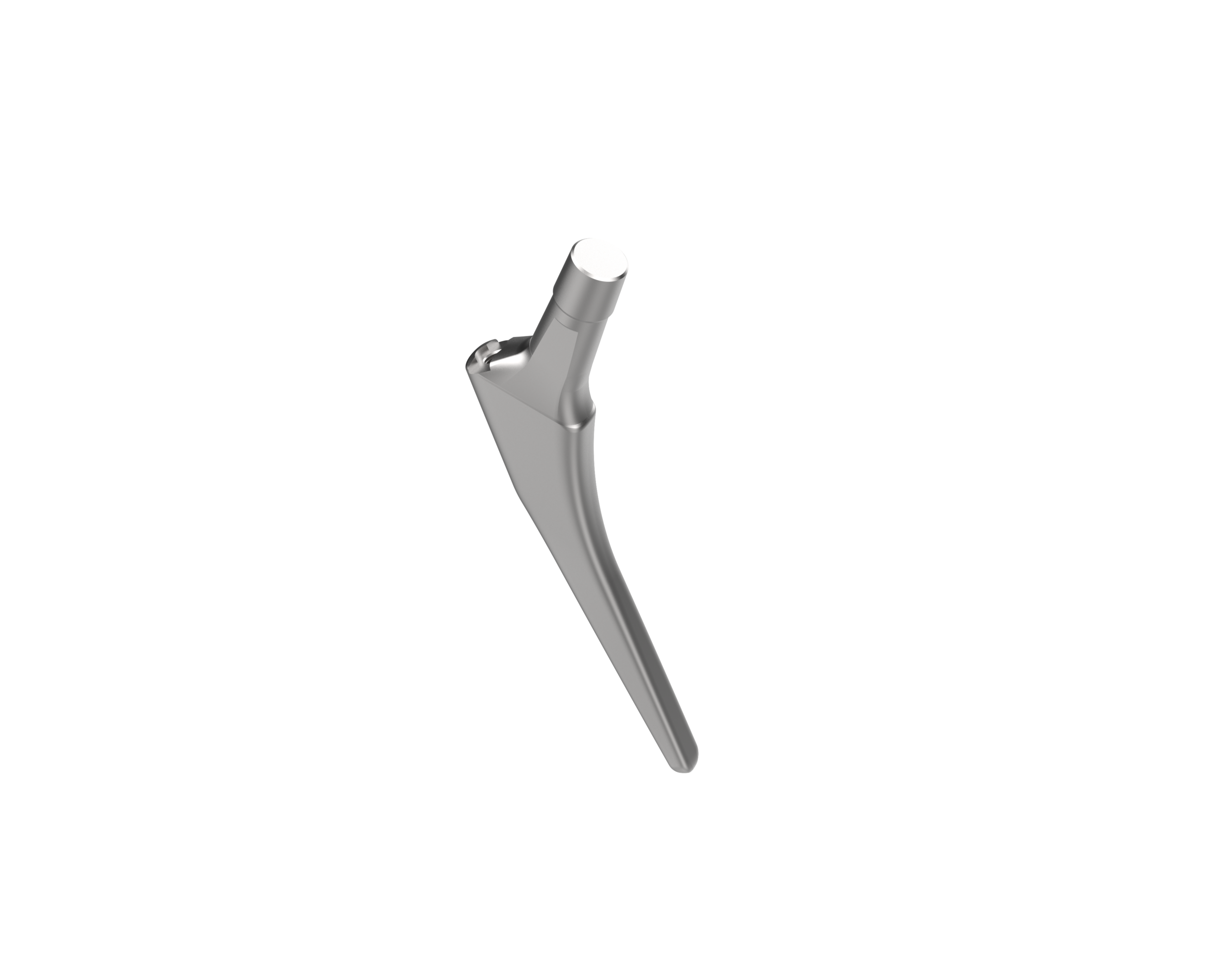 Femoral Stem Cemented - Image 4