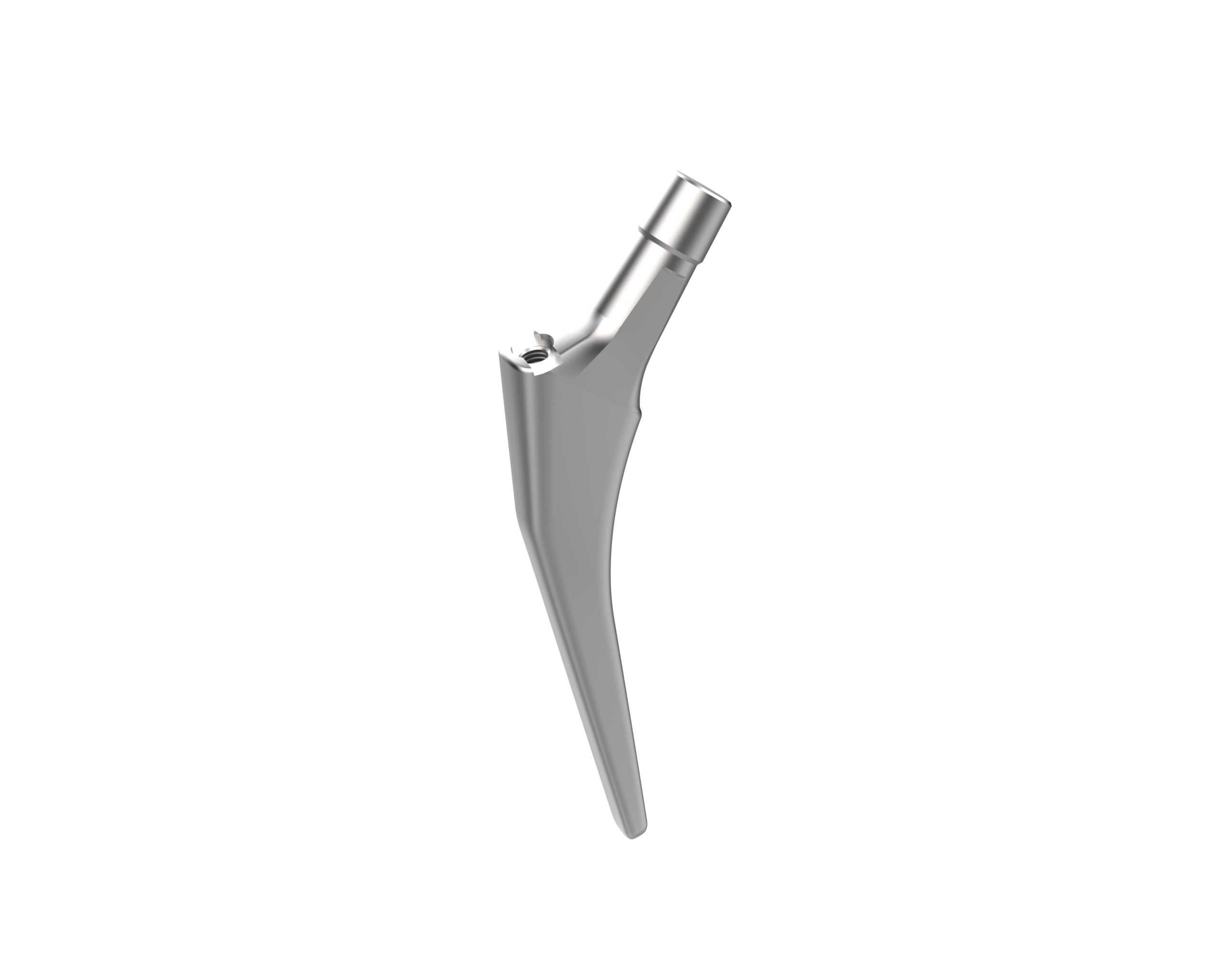 Femoral Stem Cemented - Image 2